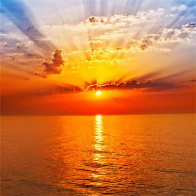 盈彩网下载手机版